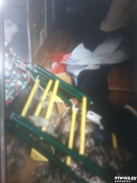 ���� 5: ����� ������� ���� ����...