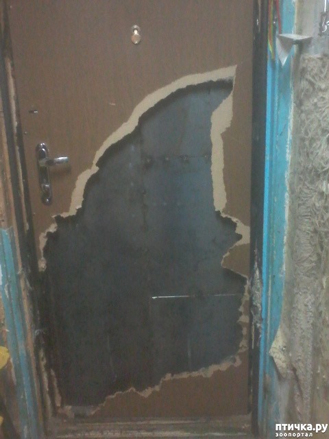 ���� 6: ����� ������� ���� ����...