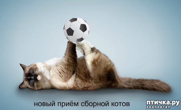 ���� 4: ��������� ����� �� �������