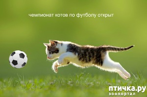 ����: ��������� ����� �� �������