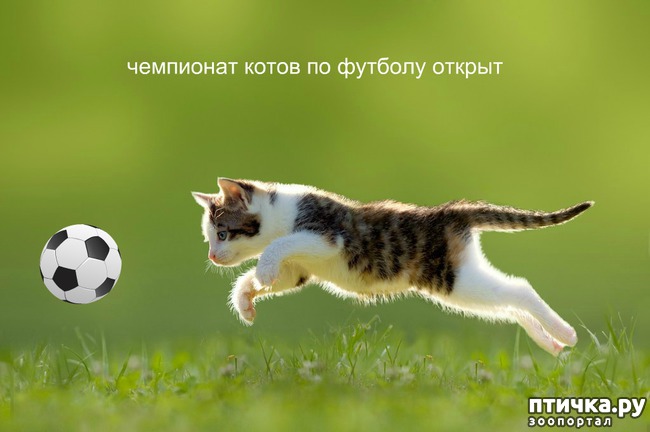 ���� 1: ��������� ����� �� �������