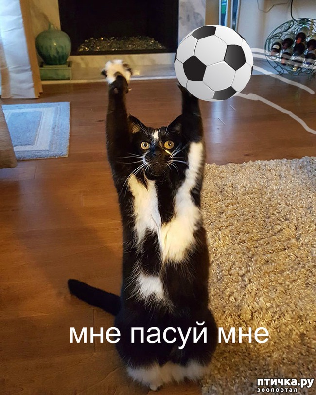 ���� 2: ��������� ����� �� �������