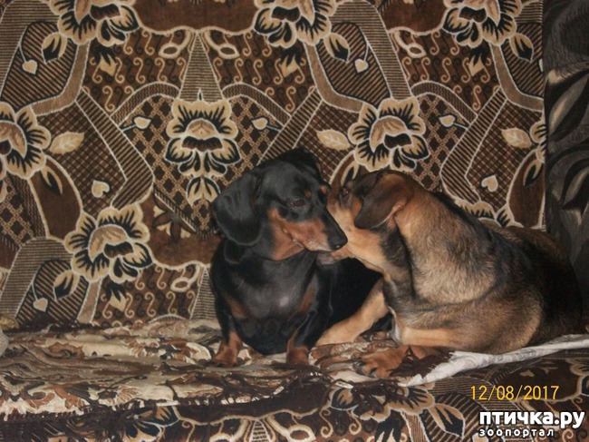 ���� 1: �������� �������