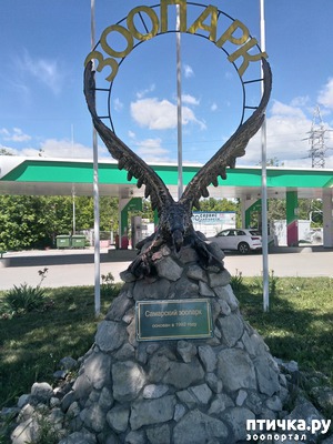 ����: ��������� �������.