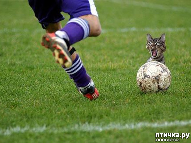 ���� 2: ������ � ���