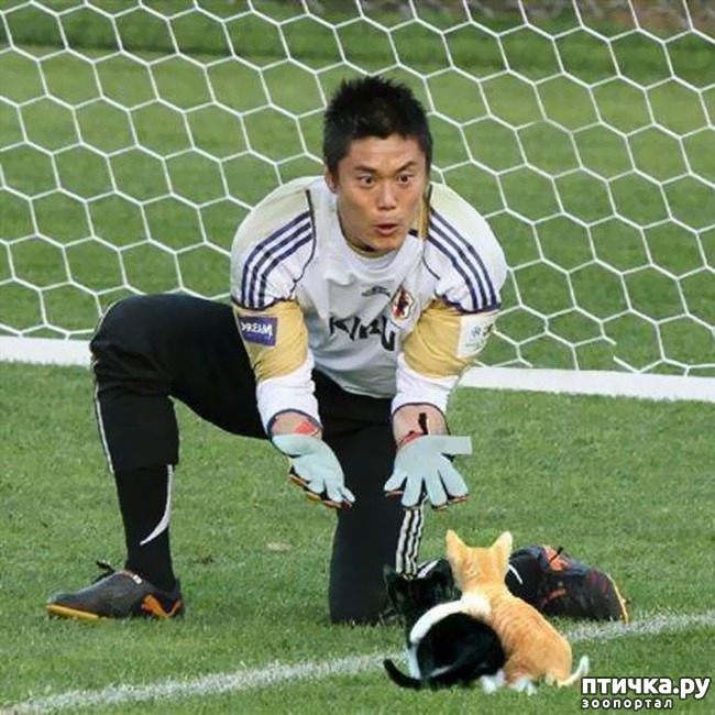 ���� 4: ������ � ���