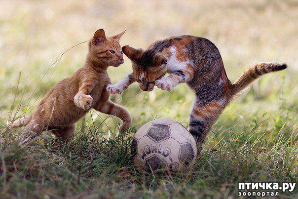 ���� 5: ������ � ���