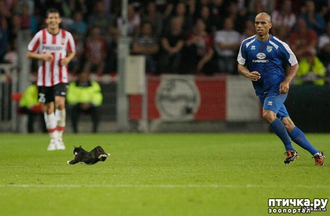 ���� 6: ������ � ���