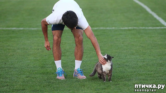 ���� 7: ������ � ���