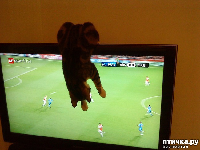 ���� 8: ������ � ���