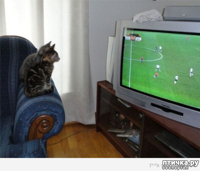 ���� 9: ������ � ���