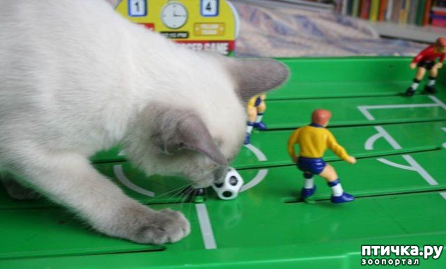 ���� 10: ������ � ���