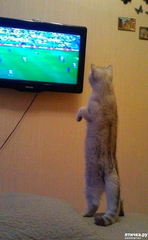 ���� 11: ������ � ���