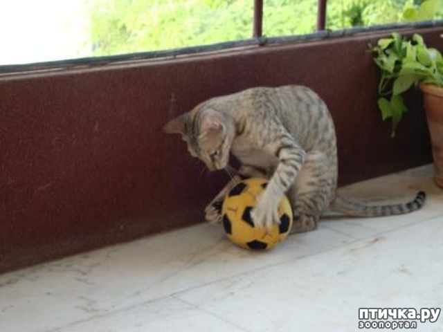 ���� 12: ������ � ���