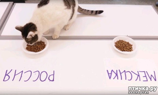 ���� 13: ������ � ���