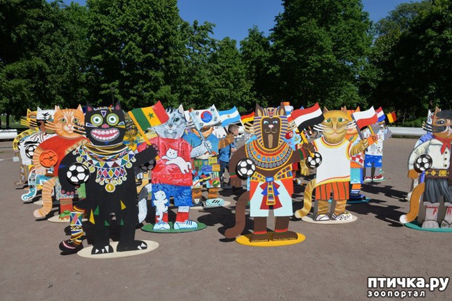 ���� 1: ������ � ���