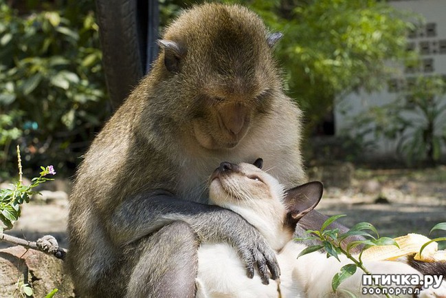 ���� 1: ������� ��������