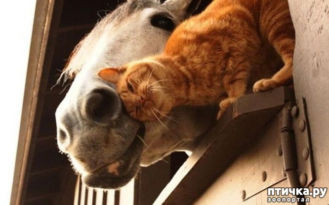 ���� 2: ������� ��������