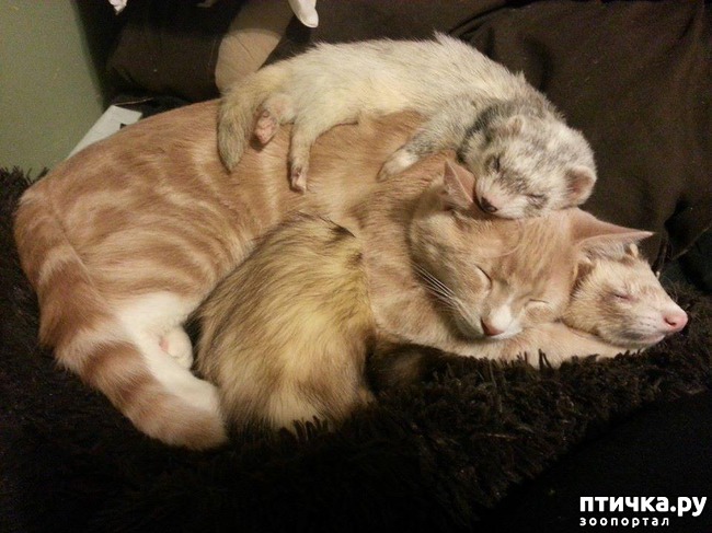 ���� 3: ������� ��������