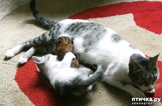 ���� 4: ������� ��������