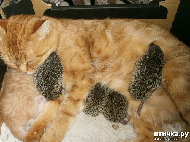 ���� 6: ������� ��������