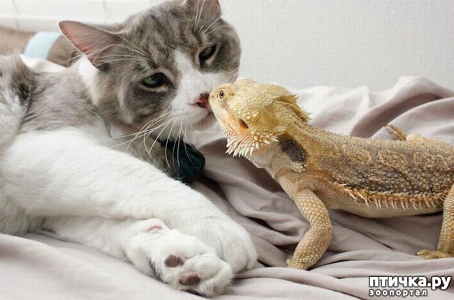 ���� 8: ������� ��������