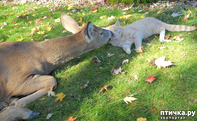 ���� 10: ������� ��������