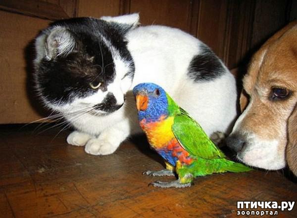 ���� 11: ������� ��������