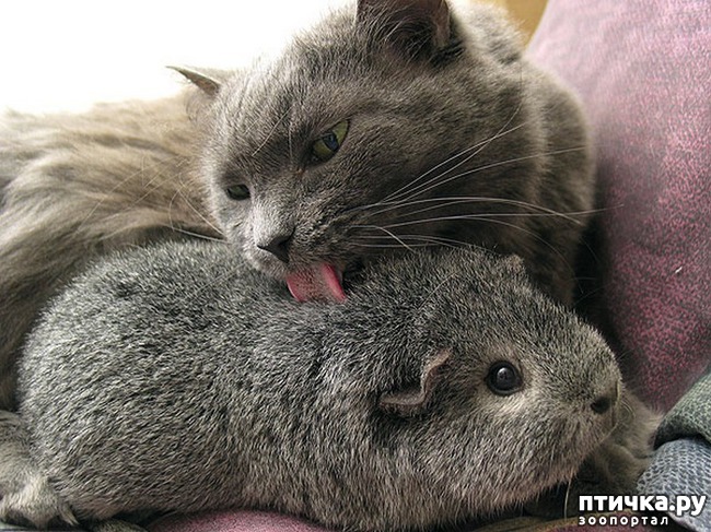 ���� 14: ������� ��������