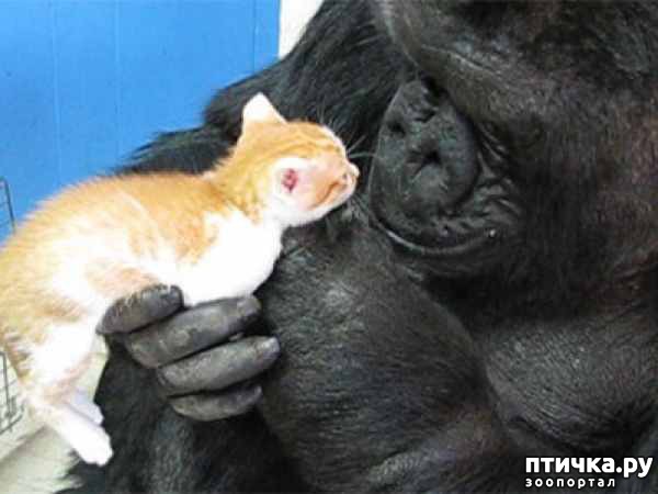 ���� 16: ������� ��������