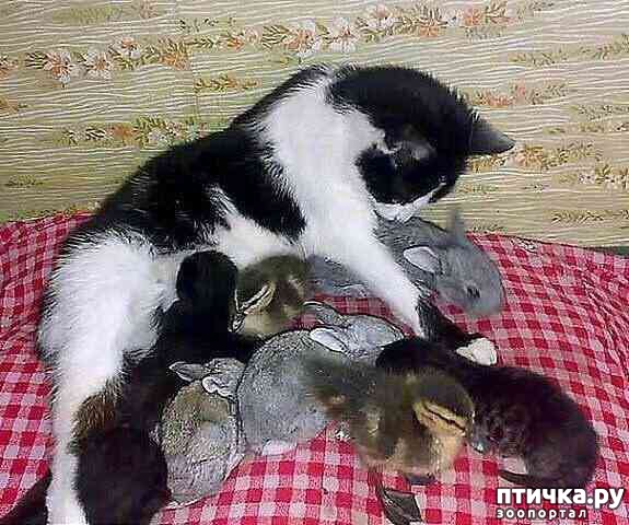 ���� 17: ������� ��������