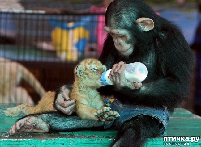 ���� 18: ������� ��������