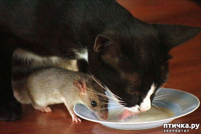 ���� 19: ������� ��������