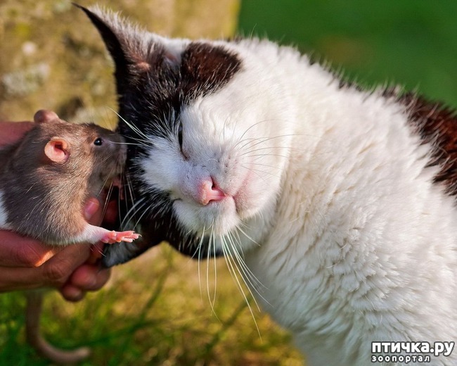 ���� 20: ������� ��������