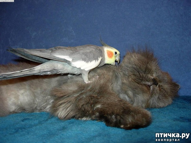 ���� 22: ������� ��������