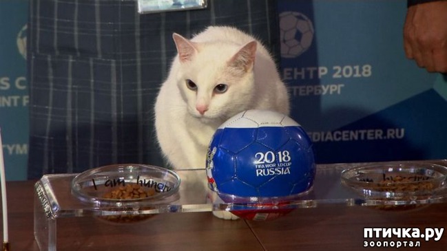 ���� 1: ��� ��� � �������)))