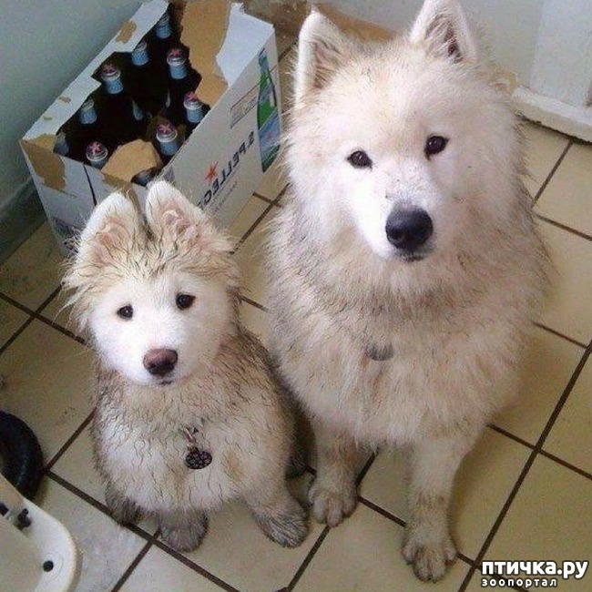 ���� 4: ����� ���� ����, �� � ����