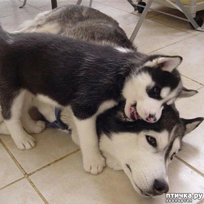 ���� 5: ����� ���� ����, �� � ����