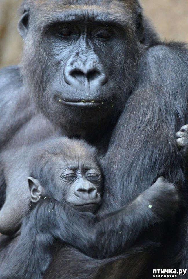 ���� 8: ����� ���� ����, �� � ����