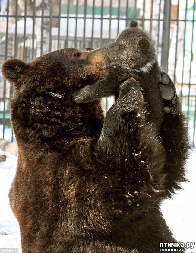 ���� 9: ����� ���� ����, �� � ����