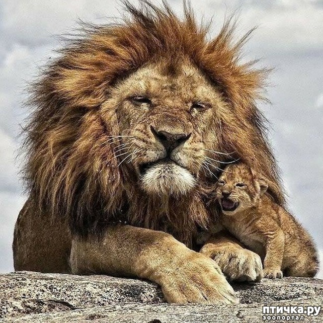 ���� 2: ����� ���� ����, �� � ����