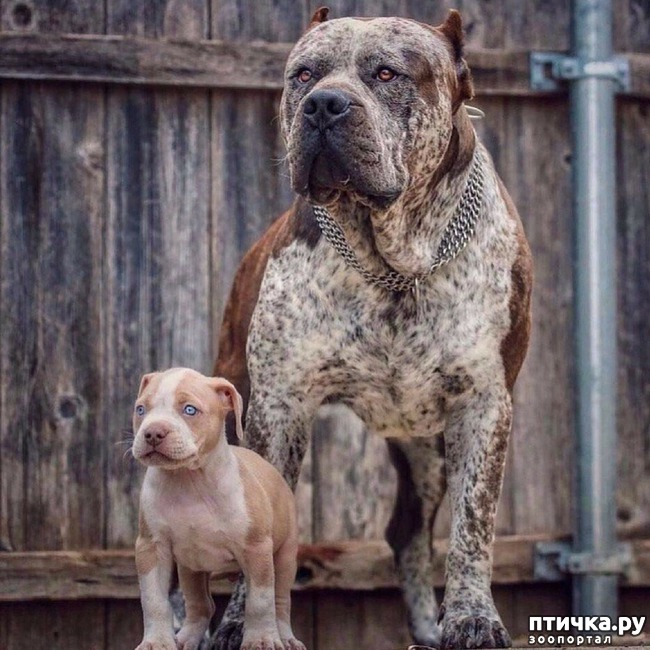 ���� 3: ����� ���� ����, �� � ����