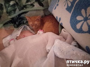 ����: ���� - ����� ������