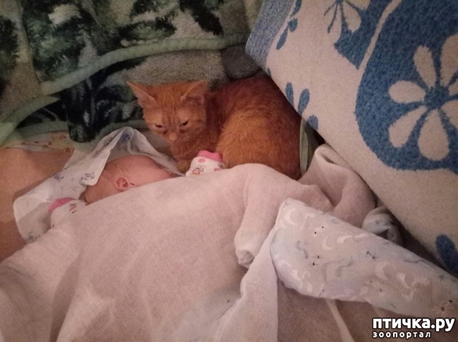 ���� 1: ���� - ����� ������