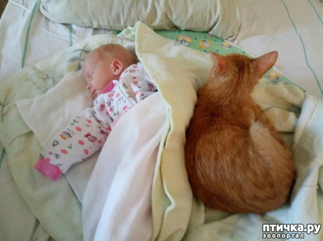 ���� 2: ���� - ����� ������