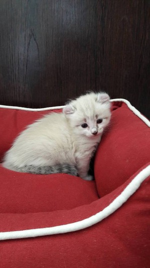 ����: ������� � ��� ��������� ��� ����� ����)