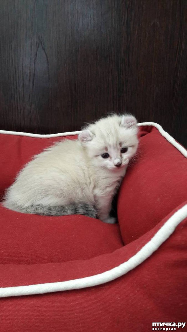 ���� 1: ������� � ��� ��������� ��� ����� ����)