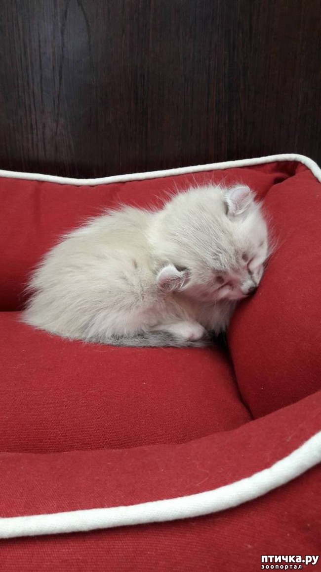 ���� 2: ������� � ��� ��������� ��� ����� ����)