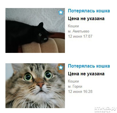 ���� 3: ��� ����, ���� �������� ����������