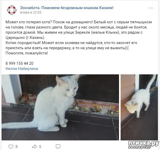 ���� 4: ��� ����, ���� �������� ����������